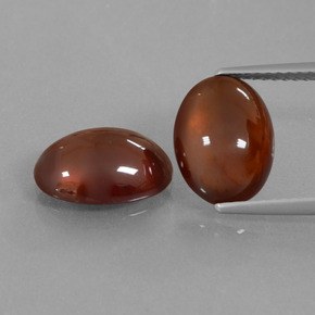 Achetez naturel ct orange grenat hessonite gems, coupe ovale, en provenance sri lanka chez gemselect. en stock, livraison internationale!