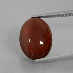 Grenat Hessonite Orange naturelle Coupe ovale, 7.49 ct, Translucide