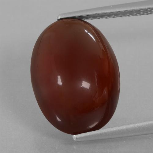 Grenat hessonite marron naturelle coupe ovale, 8,05 ct, translucide