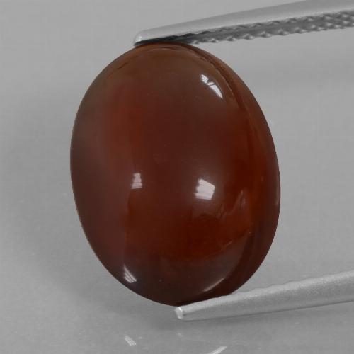 Grenat hessonite brun pécan naturelle coupe ovale, 7,03 ct, translucide