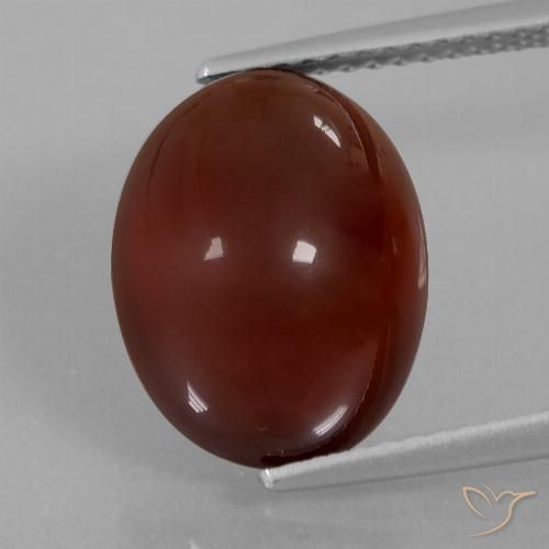 8.34ct Naturel Brun pécan Grenat Hessonite, ovale, Translucide