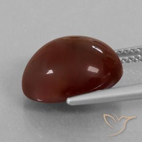 Grenat Hessonite Brun pécan naturelle ovale, 8.34 ct, Translucide