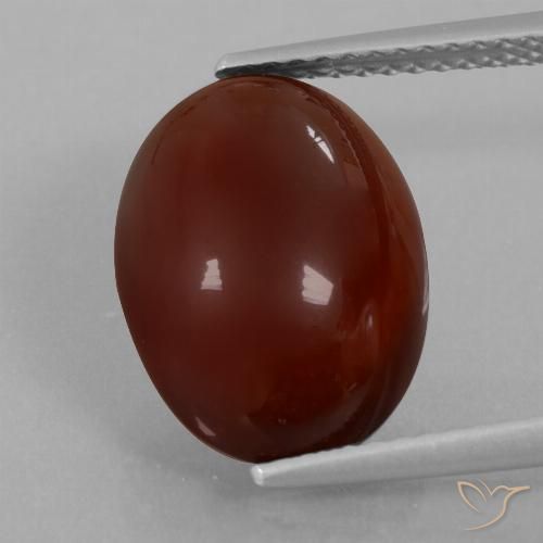 7.07ct Naturel Brun pécan Grenat Hessonite, ovale, Translucide