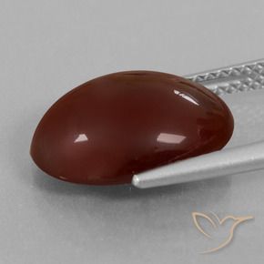 Grenat Hessonite Brun pécan naturelle ovale, 7.07 ct, Translucide