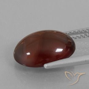 Grenat Hessonite Brun pécan naturelle ovale, 5.27 ct, Translucide