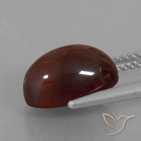 Grenat Hessonite Brun pécan naturelle ovale, 5.80 ct, Translucide