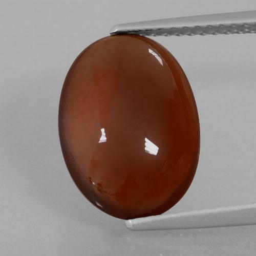 Grenat hessonite marron naturelle coupe ovale, 5,00 ct, translucide
