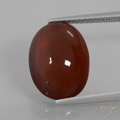 7.29ct Naturel Brun moyen-foncé Grenat Hessonite, ovale, Translucide