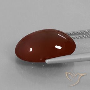 Grenat Hessonite Brun moyen-foncé naturelle ovale, 7.29 ct, Translucide