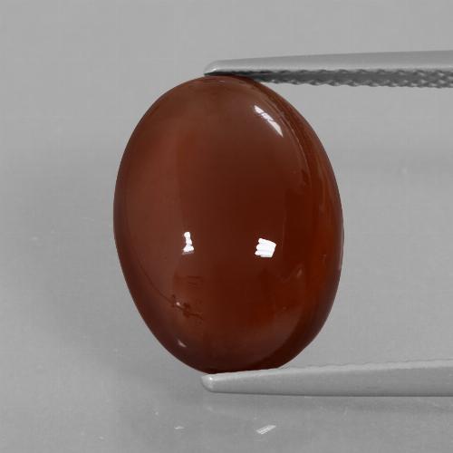 Grenat Hessonite Brun moyen-foncé naturelle Coupe ovale, 7.09 ct, Translucide