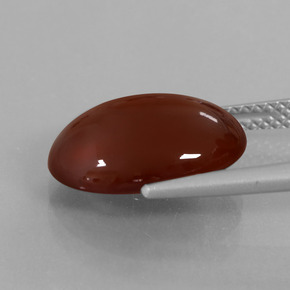 Grenat Hessonite Brun moyen-foncé naturelle Coupe ovale, 7.09 ct, Translucide