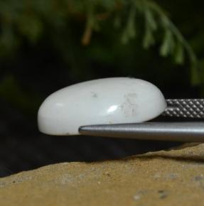 Howlite blanc naturelle coupe ovale, 8,33 ct, opaque