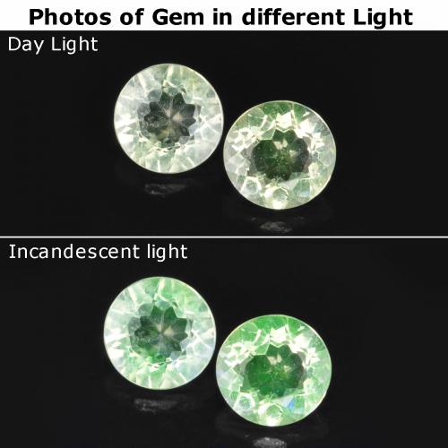 Achetez naturel 0.19ct Vert clair Opale hyalite gems, Coupe roude, En provenance Mexique chez GemSelect. En stock, livraison internationale!