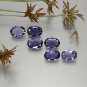 Achetez naturel ct bleue iolite gems, coupe ovale, en provenance madagascar chez gemselect. en stock, livraison internationale!