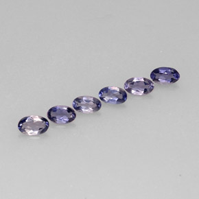 Achetez naturel ct bleue iolite gems, coupe ovale, en provenance madagascar chez gemselect. en stock, livraison internationale!