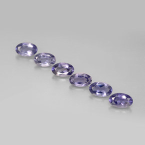 Achetez naturel ct bleue iolite gems, coupe ovale, en provenance madagascar chez gemselect. en stock, livraison internationale!