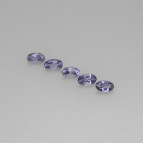 Achetez naturel ct bleue iolite gems, coupe ovale, en provenance madagascar chez gemselect. en stock, livraison internationale!