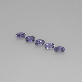 Achetez naturel ct bleue iolite gems, coupe ovale, en provenance madagascar chez gemselect. en stock, livraison internationale!