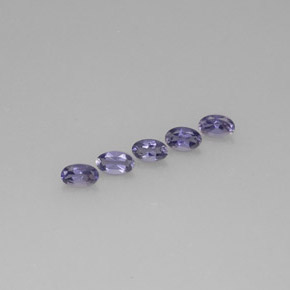 Achetez naturel ct bleue iolite gems, coupe ovale, en provenance madagascar chez gemselect. en stock, livraison internationale!