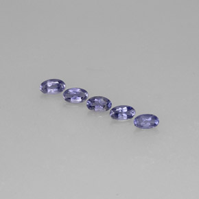 Achetez naturel ct bleue iolite gems, coupe ovale, en provenance madagascar chez gemselect. en stock, livraison internationale!
