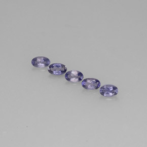 Achetez naturel ct bleue iolite gems, coupe ovale, en provenance madagascar chez gemselect. en stock, livraison internationale!