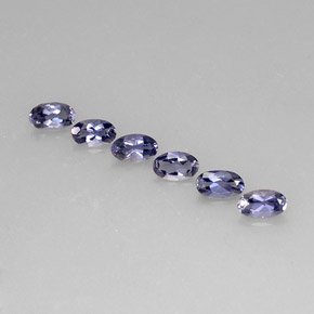 Achetez naturel ct bleue iolite gems, coupe ovale, en provenance madagascar chez gemselect. en stock, livraison internationale!