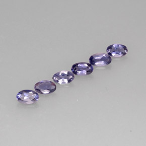 Achetez naturel ct bleue iolite gems, coupe ovale, en provenance madagascar chez gemselect. en stock, livraison internationale!