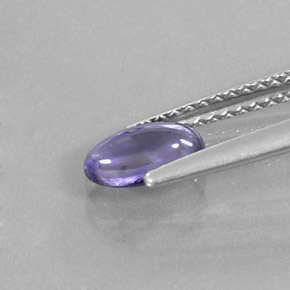 Iolite bleue naturelle coupe ovale, 0,55 ct, transparent