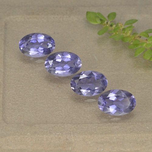 Achetez naturel 1,52ct violet iolite gems, coupe ovale, en provenance madagascar chez gemselect. en stock, livraison internationale!