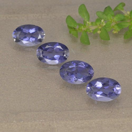 Achetez naturel 1.49ct Violet foncé Iolite gems, Coupe ovale, En provenance Madagascar chez GemSelect. En stock, livraison internationale!
