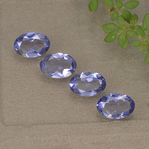 Achetez naturel 1.34ct Violet foncé Iolite gems, Coupe ovale, En provenance Madagascar chez GemSelect. En stock, livraison internationale!