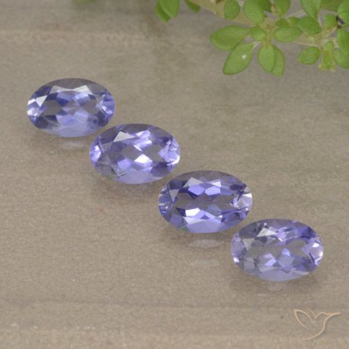 Achetez naturel 1.56ct Violet moyen-léger Iolite gems, Coupe ovale, En provenance Madagascar chez GemSelect. En stock, livraison internationale!