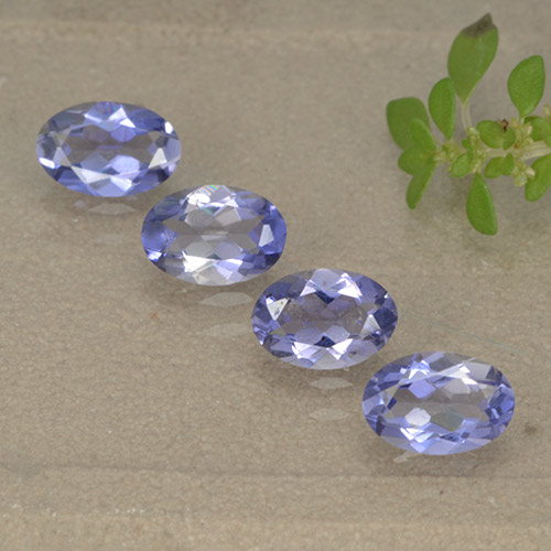 Achetez naturel 1.41ct Bleu violet intense Iolite gems, Coupe ovale, En provenance Madagascar chez GemSelect. En stock, livraison internationale!