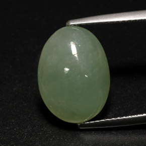 Jadéite vert naturelle transparent, 7,63 ct, transparent / translucide