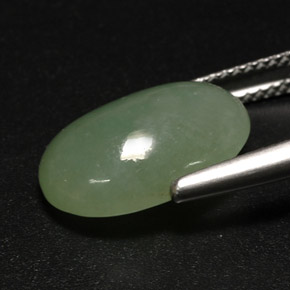 Jadéite vert naturelle transparent, 7,63 ct, transparent / translucide