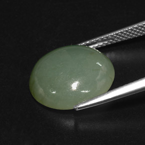 Jadéite vert naturelle transparent, 7,70 ct, transparent / translucide