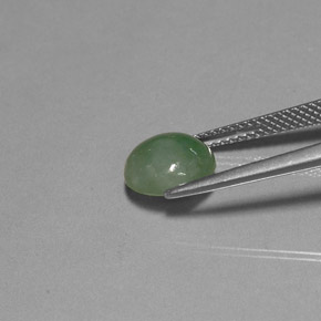 Jadéite vert naturelle transparent, 3,04 ct, transparent / translucide