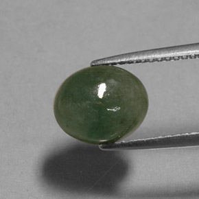 Jadéite vert naturelle transparent, 3,13 ct, transparent / translucide