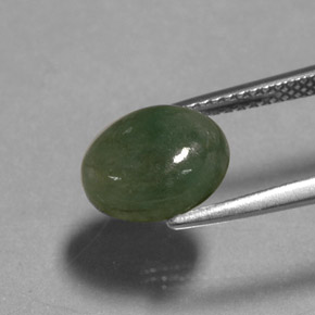 Jadéite vert naturelle transparent, 3,13 ct, transparent / translucide