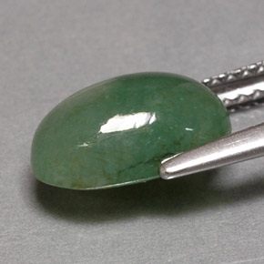 Jadéite vert naturelle transparent, 3,26 ct, transparent / translucide