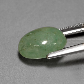 Jadéite vert naturelle transparent, 3,12 ct, transparent / translucide