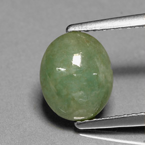 Jadéite vert naturelle transparent, 2,46 ct, transparent / translucide