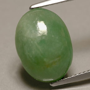 Jadéite vert naturelle coupe ovale, 6,22 ct, translucide