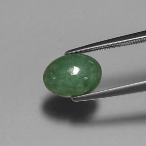 Jadéite vert naturelle coupe ovale, 2,60 ct, translucide