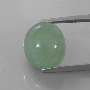 Jadéite vert naturelle coupe ovale, 6,83 ct, translucide