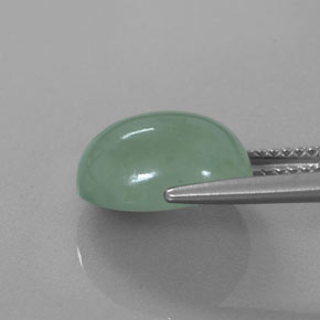 Jadéite vert naturelle coupe ovale, 6,83 ct, translucide