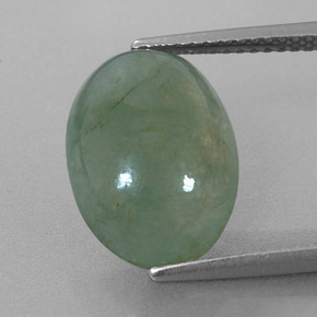 Jadéite Vert naturelle Coupe ovale, 6.49 ct, Translucide
