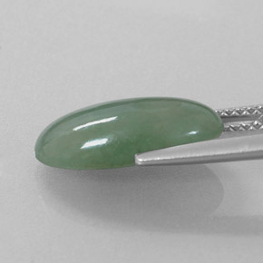 Jadéite vert naturelle coupe ovale, 4,81 ct, translucide