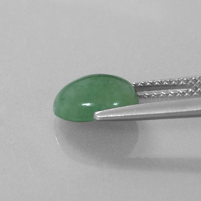 Jadéite vert naturelle coupe ovale, 2,32 ct, translucide