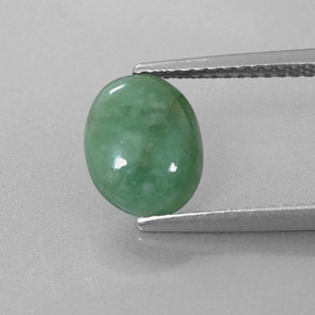 Jadéite Vert naturelle Coupe ovale, 1.90 ct, Translucide